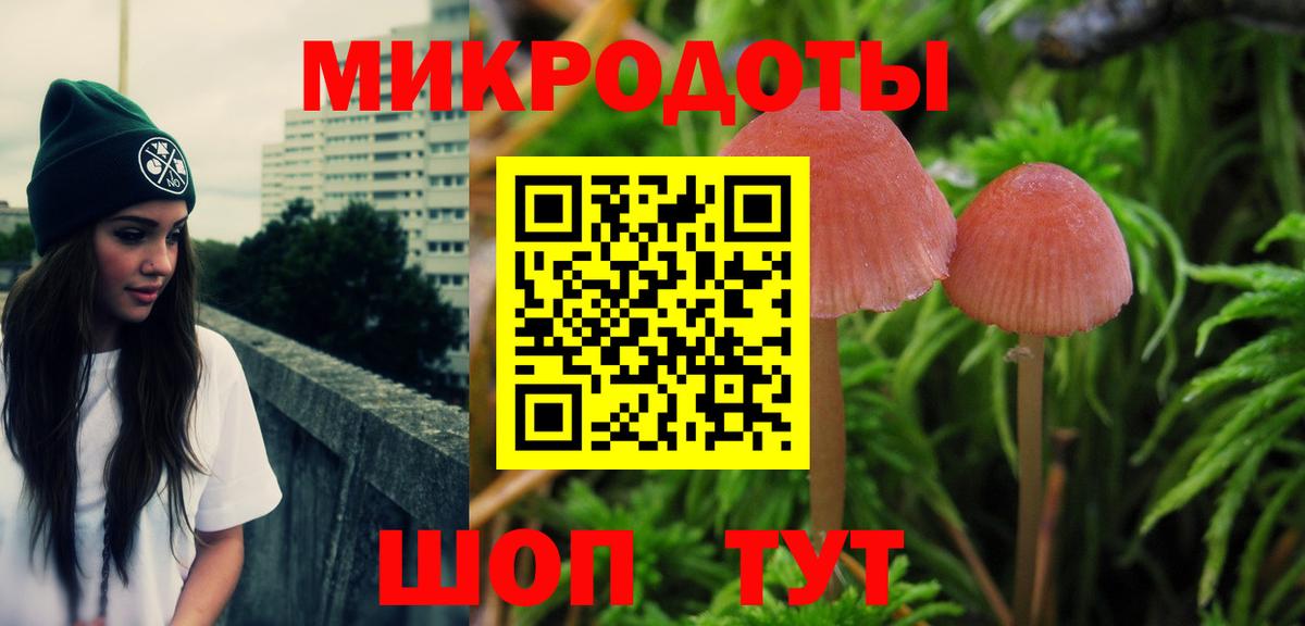 Псилоцибиновые грибы ЛСД  Псилоцибиновые грибы Magic Shrooms  наркошоп  Вход с VPN  Аргун 